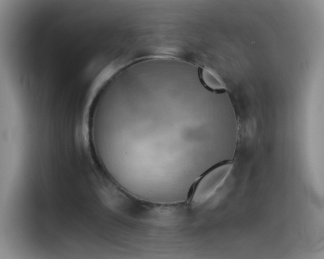 X0000114540294200910191347