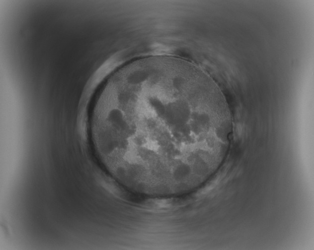 X0000114540295200910191347