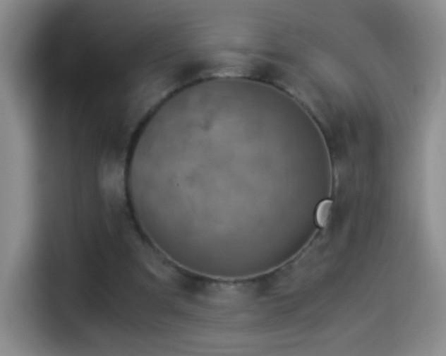 X0000114540297200910191347