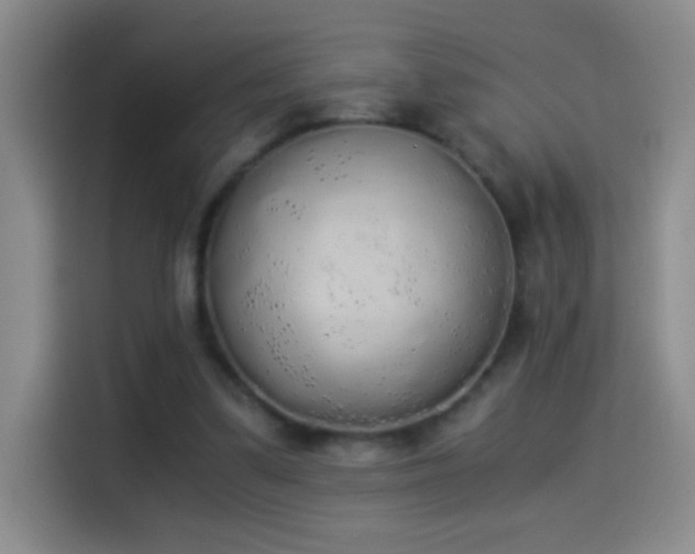 X0000114540299200910191347