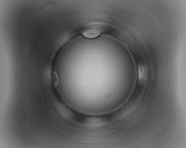 X0000114540300200910191347