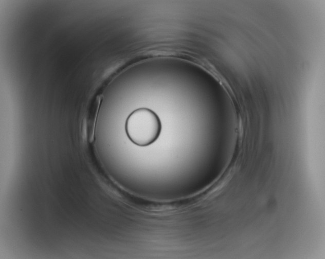 X0000114540301200910191347