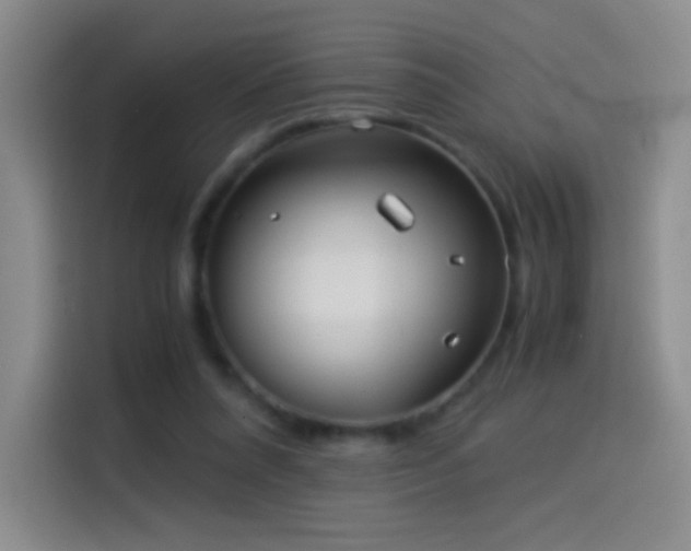 X0000114540304200910191347