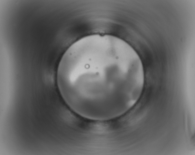 X0000114540305200910191347