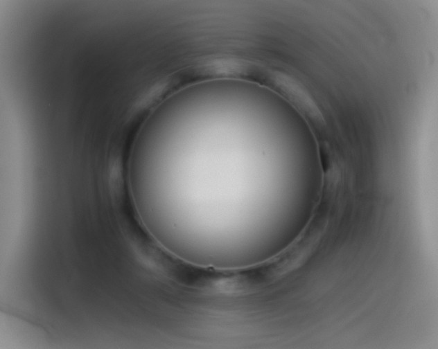 X0000114540306200910191347