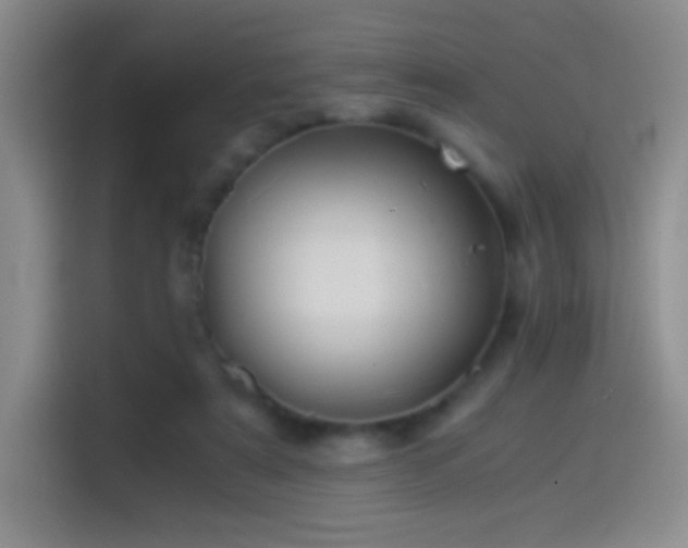 X0000114540307200910191347