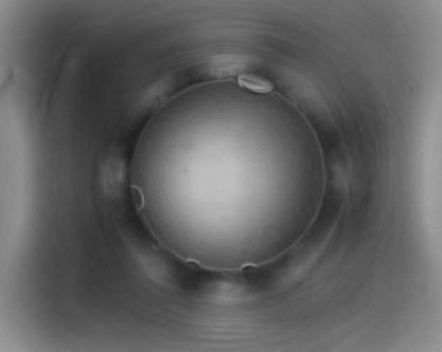 X0000114540308200910191347