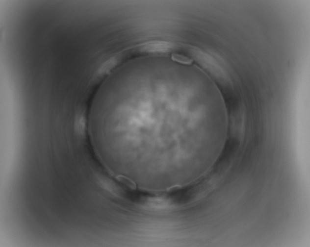 X0000114540309200910191347