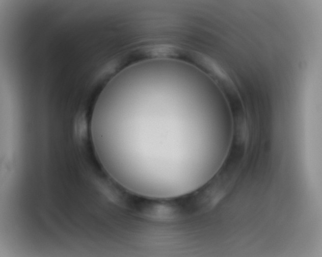 X0000114540310200910191347