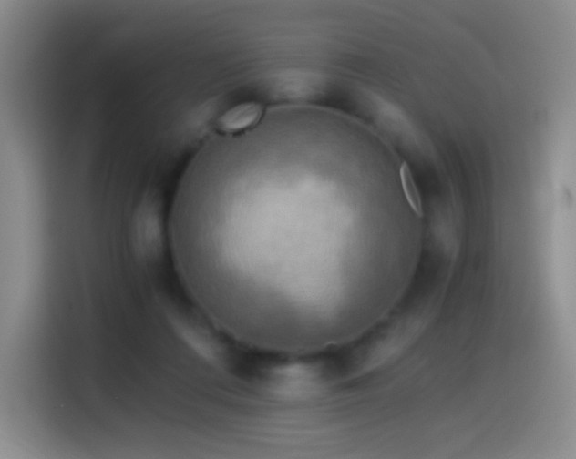 X0000114540312200910191347