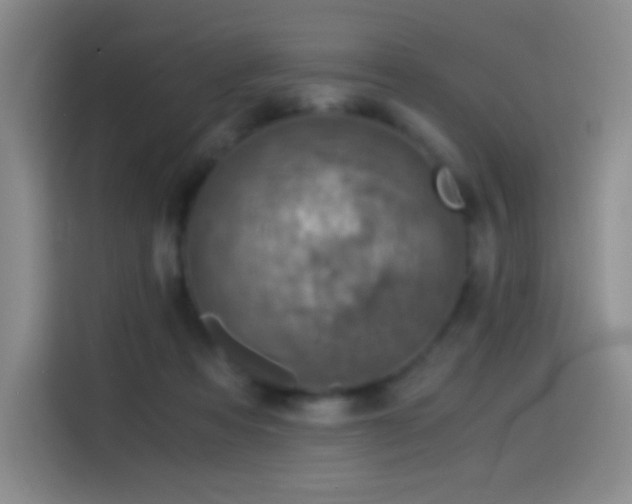 X0000114540313200910191347