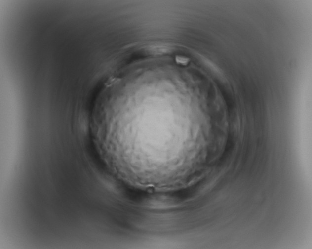 X0000114540315200910191347