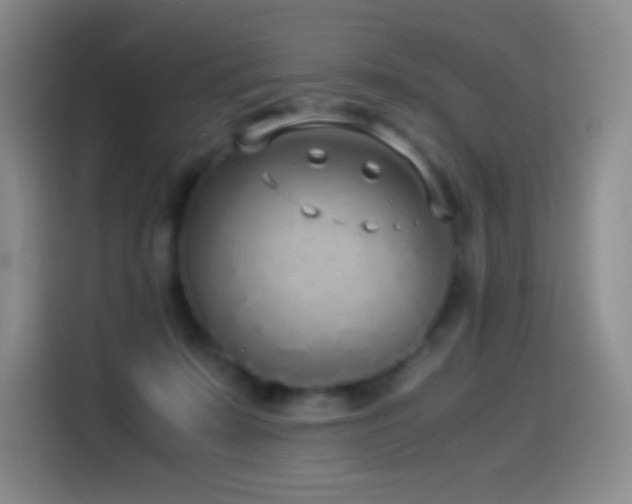 X0000114540319200910191347