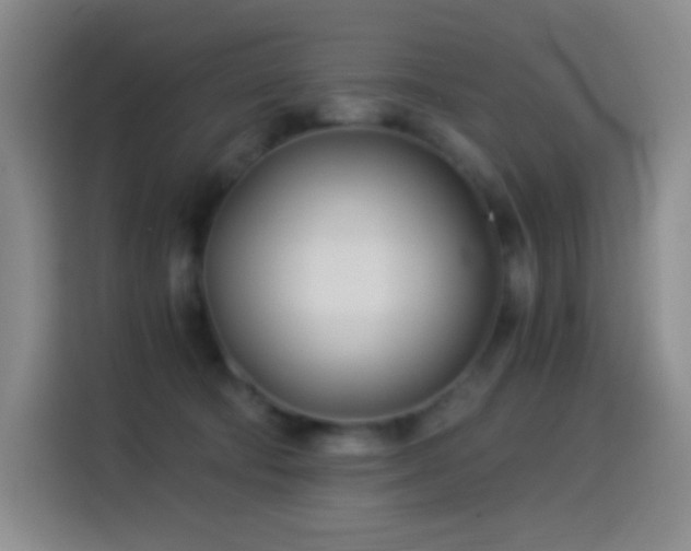 X0000114540322200910191347