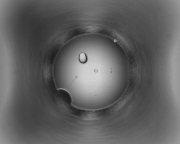 X0000114540325200910191347