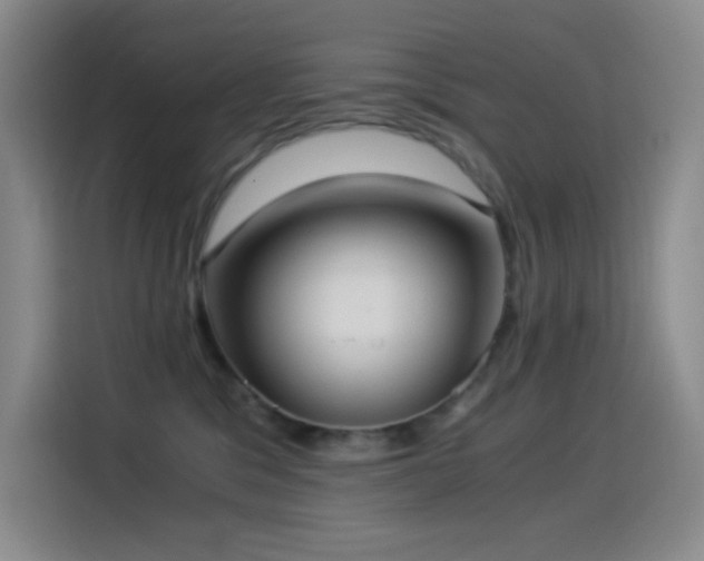 X0000114540329200910191347