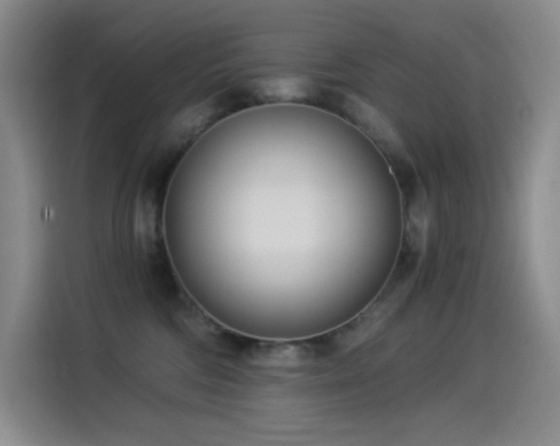 X0000114540330200910191347