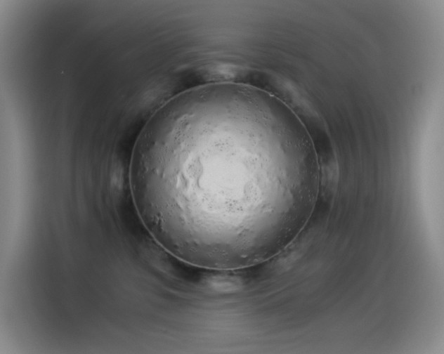 X0000114540331200910191347