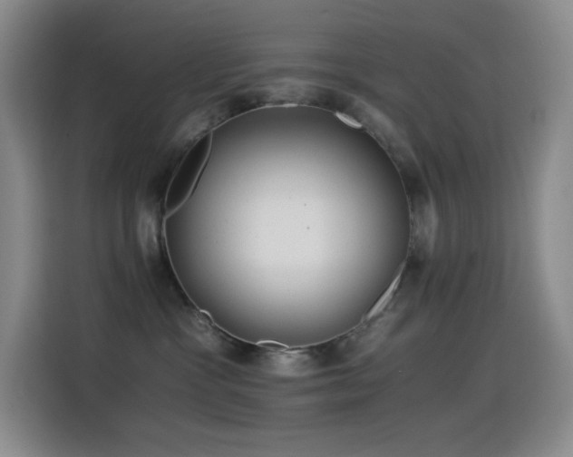 X0000114540333200910191347