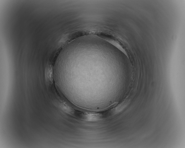 X0000114540336200910191347