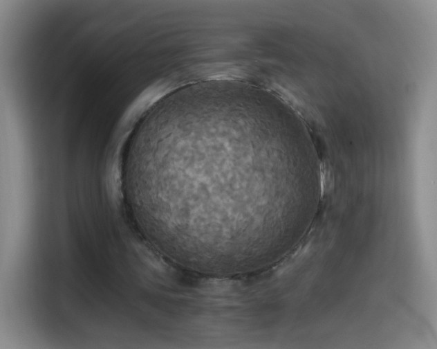 X0000114540339200910191346