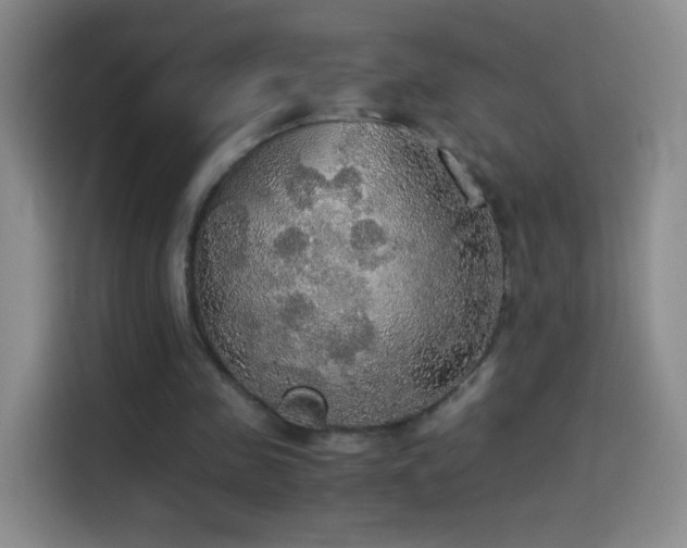 X0000114540341200910191346