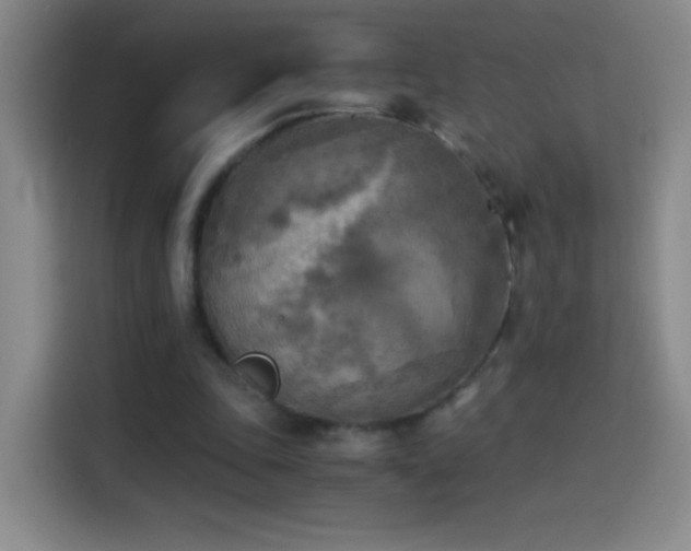 X0000114540343200910191346