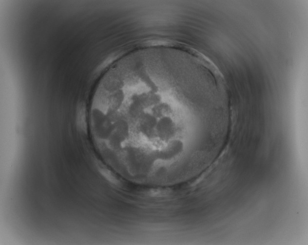 X0000114540345200910191346