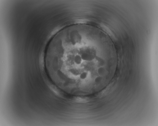 X0000114540346200910191346