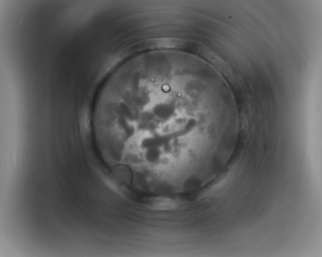 X0000114540347200910191346