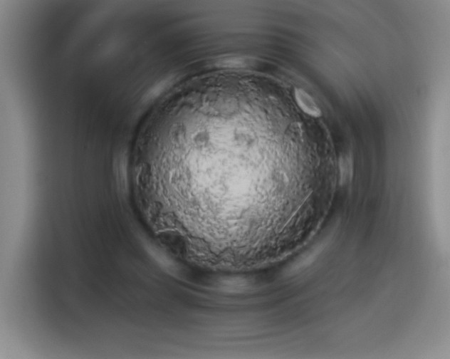 X0000114540349200910191346