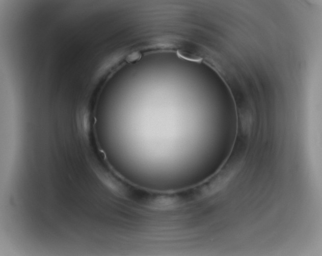 X0000114540350200910191346