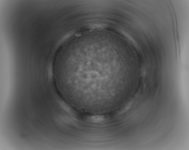 X0000114540353200910191346