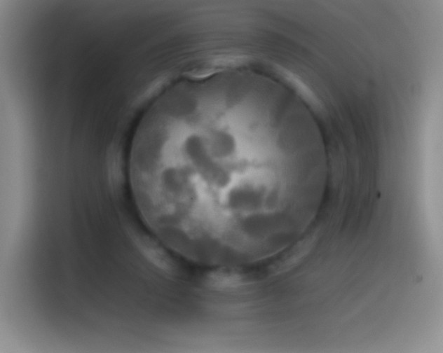 X0000114540354200910191346