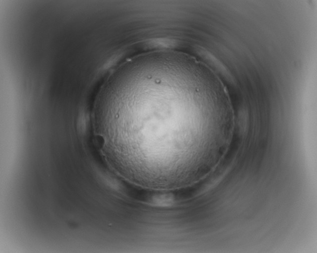 X0000114540355200910191346