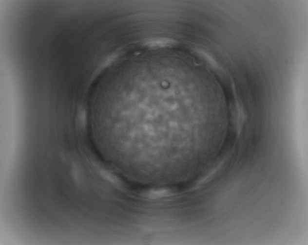 X0000114540357200910191346