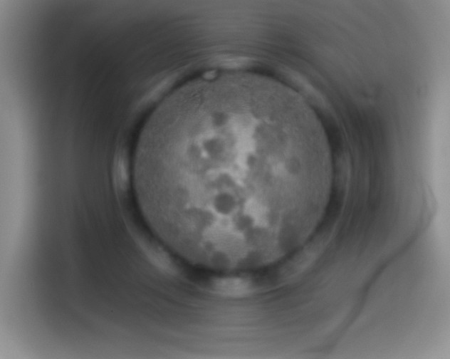 X0000114540358200910191346