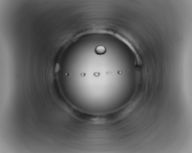 X0000114540362200910191346