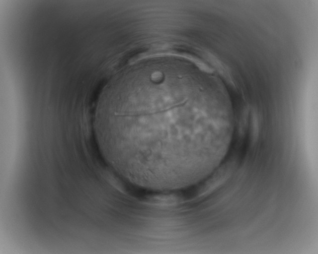 X0000114540366200910191346