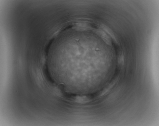 X0000114540367200910191346