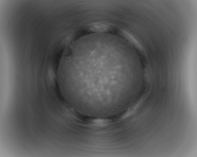 X0000114540371200910191346