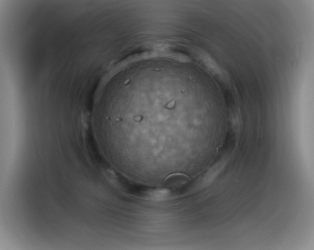 X0000114540374200910191346