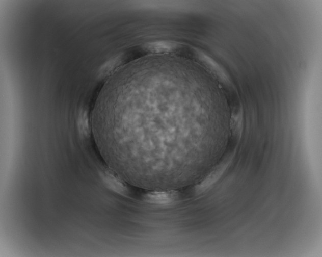 X0000114540381200910191347