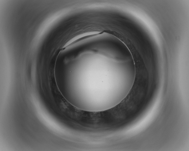 X0000114540382200910191347