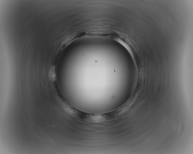 X0000114540383200910191347