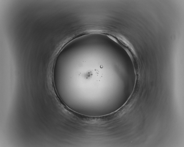 X0000114540385200910191346