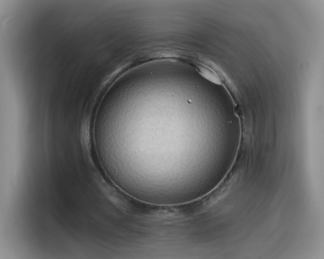 X0000114540386200910191346