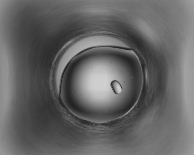 X0000114540387200910191346