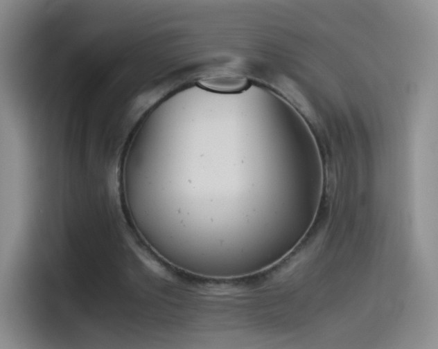 X0000114540389200910191346