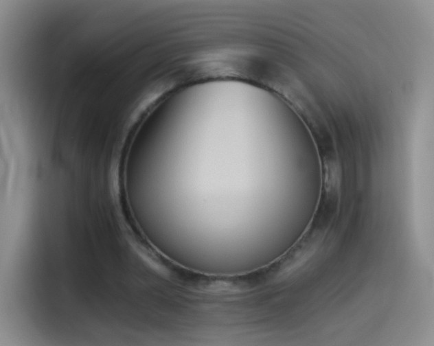 X0000114540390200910191346